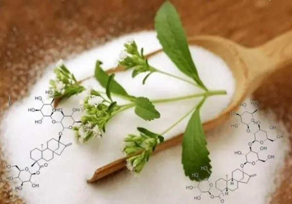 La tecnologia di estrazione e depurazione della stevia di Sunresin